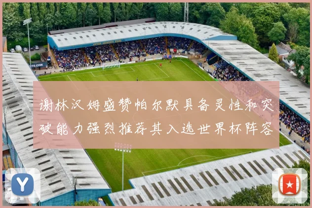 谢林汉姆盛赞帕尔默具备灵性和突破能力强烈推荐其入选世界杯阵容